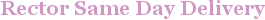 City - Rector