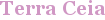 City - Terra Ceia