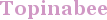 City - Topinabee
