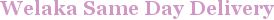 City - Welaka