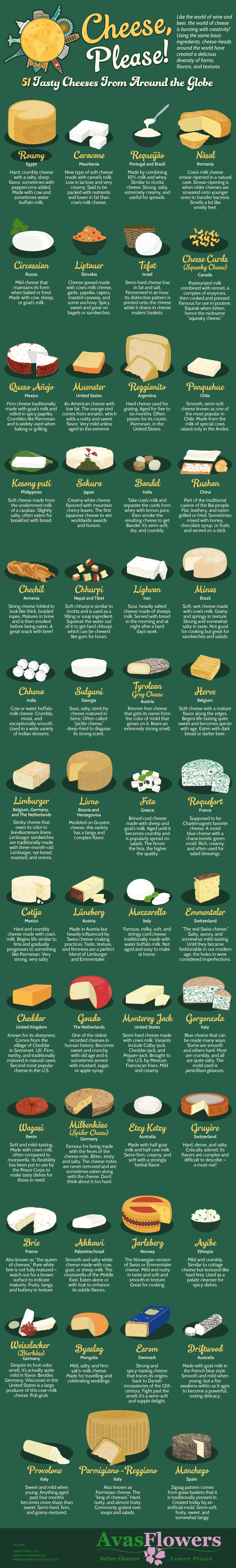 Cheese Please! 51 Tasty Cheeses From Around the Globe - Avasflowers.net - Infographic