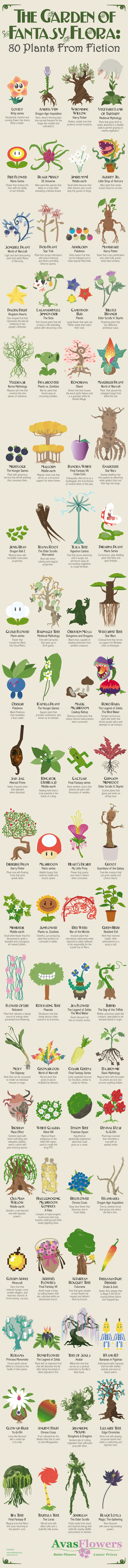 Infographic - Garden of Fantasy Flora