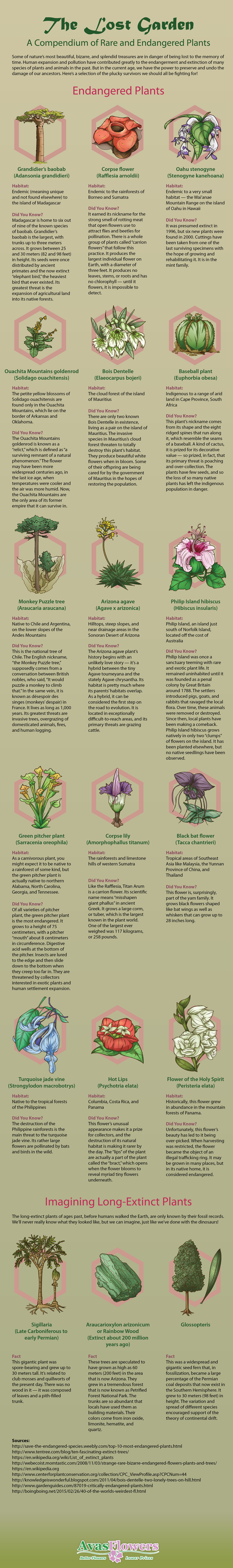 Lost Garden: A Compendium of Rare and Endangered Plants - Avasflowers.net - Infographic