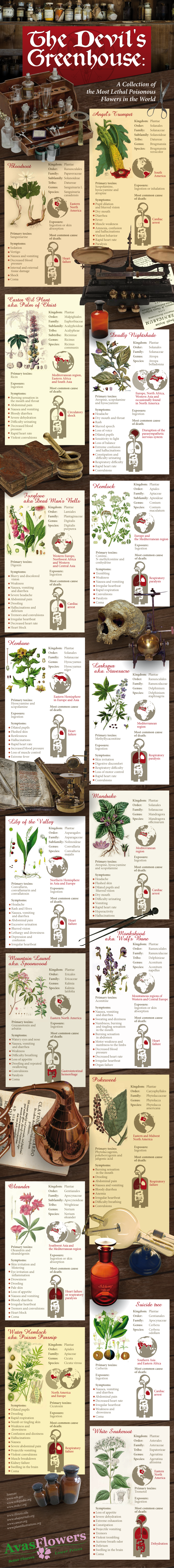 Infographic - The Devil's Greenhouse