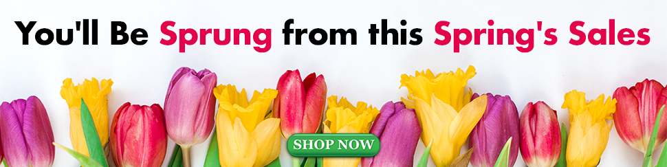 Spring 2023 Desktop Banner