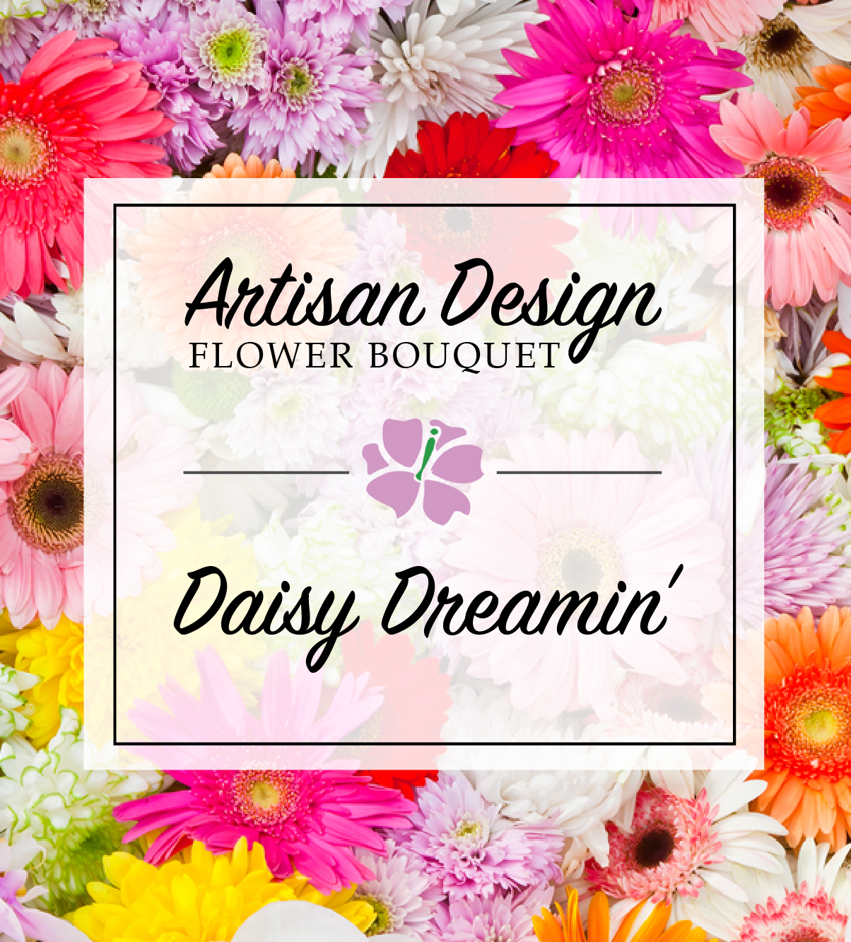 Artists Design: Daisy Dreamin | Avas Flowers