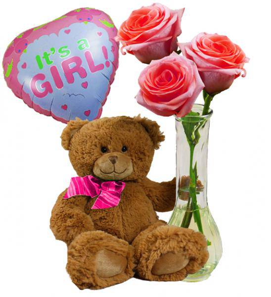 Flowers: New Baby Girl Teddy Bear And Roses