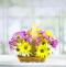 Blooming Daisy Basket