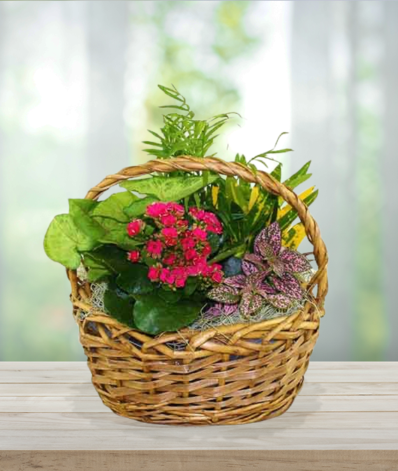 Nature Inspired Succulent Favor Mini Wicker Basket
