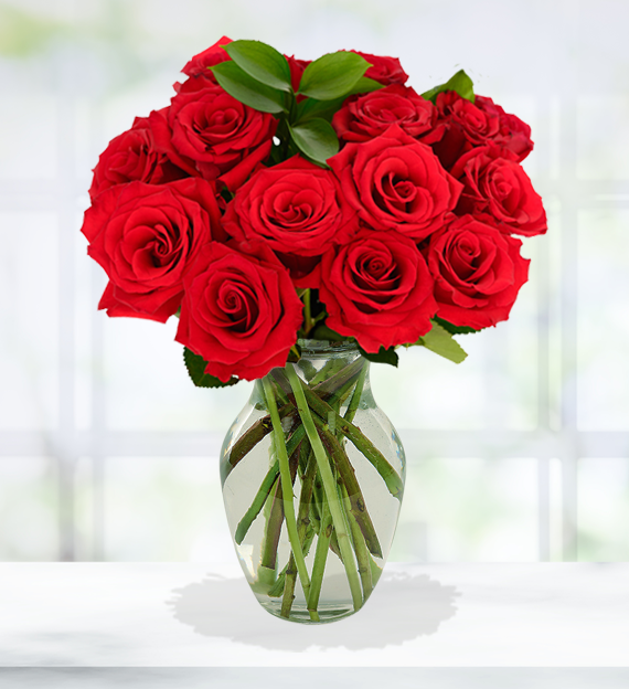 Effektivitet Morse kode historie One Dozen Red Roses | Avas Flowers