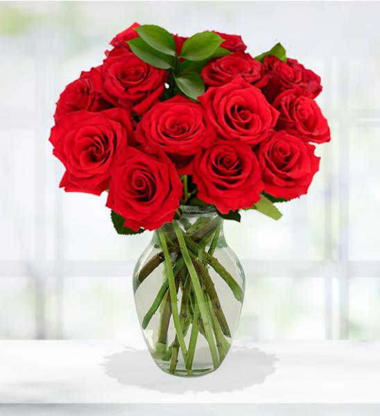 Flowers: One Dozen Long Stemmed Red Roses - 24 STEMS-Including Vase