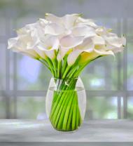 Elegant Calla Lilies