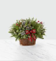 Evergreen Dream Holiday Basket