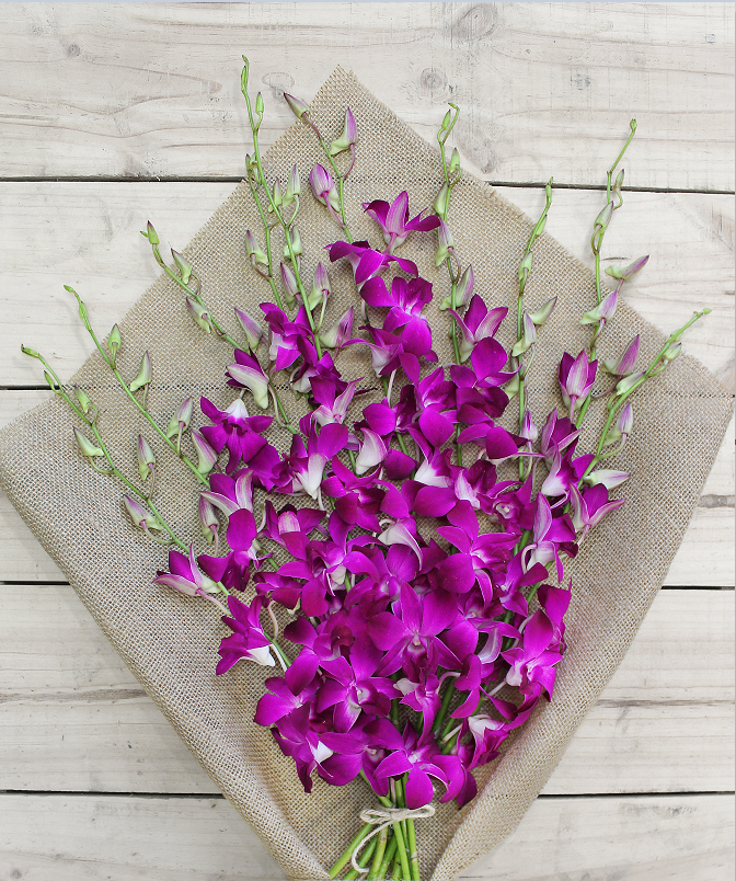 Purple Orchids - Farm Fresh
