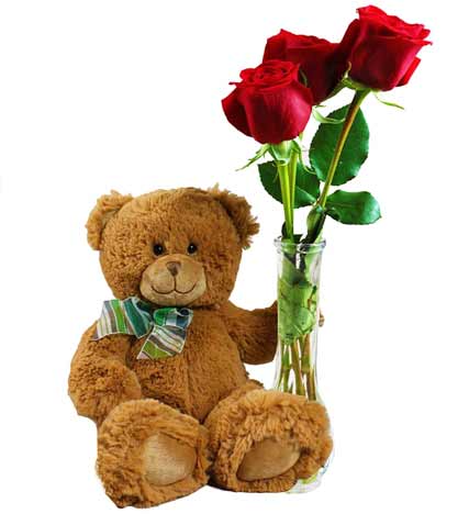 bear with rose