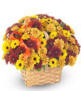 Fall Blooms Basket