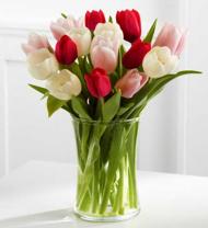 Tri-Color Tulip Bouquet