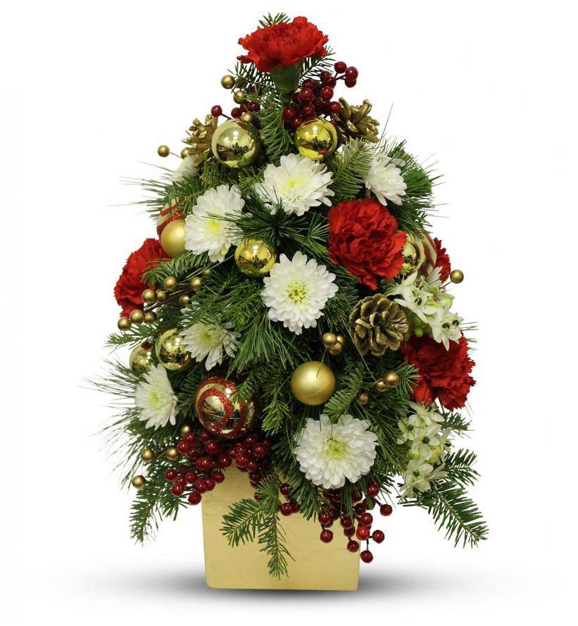 Christmas Flowers Meaning 2023 New Top Popular Famous | Christmas ...