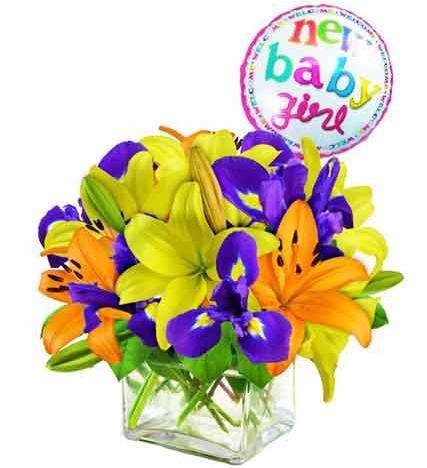 Flowers: New Baby Girl Arrangement - Premium