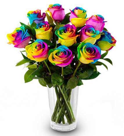Rainbow rose delivery sales