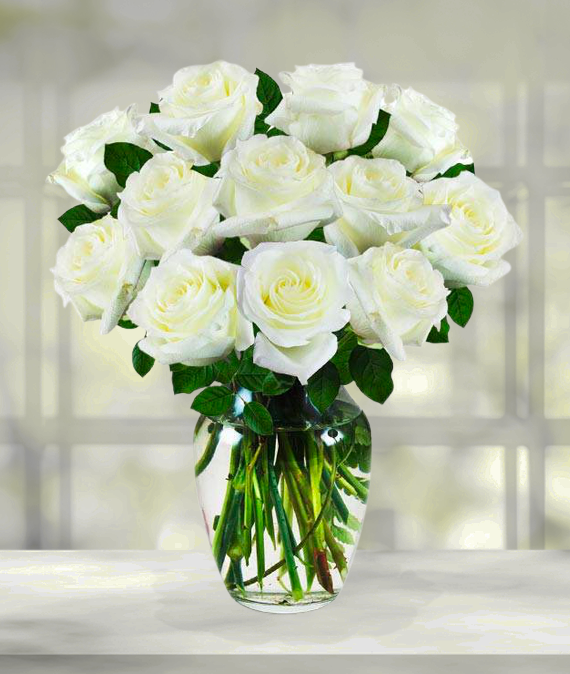 One Dozen White Roses