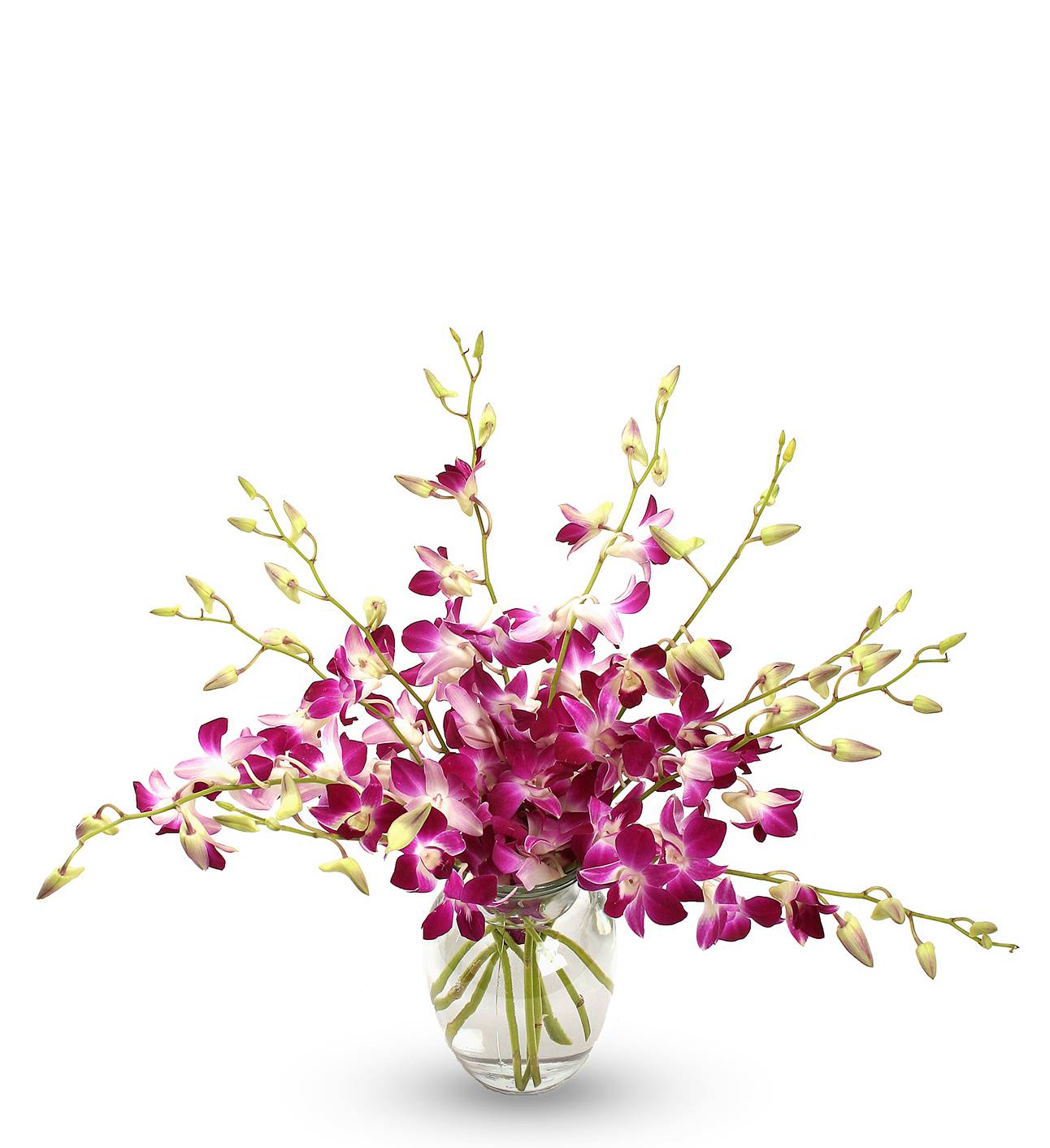 Purple Orchid Bouquet