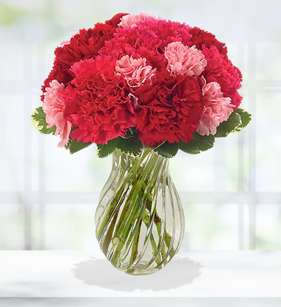 Romantic Carnation Bouquet | Avas Flowers