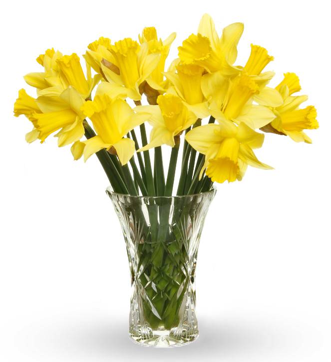 Spring Daffodil Bouquet