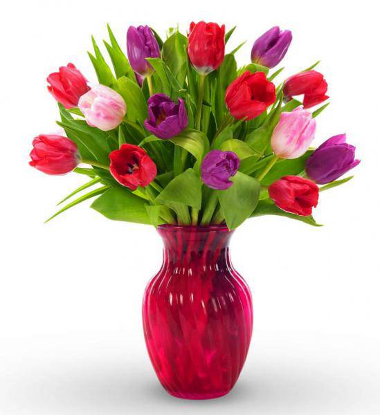 Flowers: Sweet Surrender Tulip Bouquet - 15 Stems