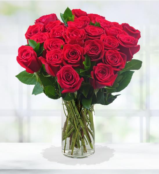 Flowers: Two Dozen Long Stemmed Red Roses - 24 Stems - Including Vase
