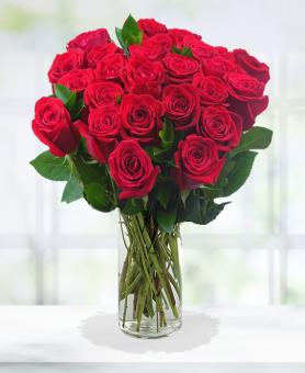 Two Dozen Red Roses