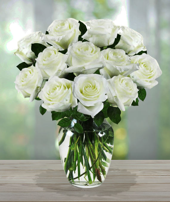 Sympathy roses on sale