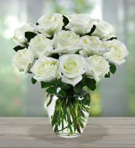 White Sympathy Roses