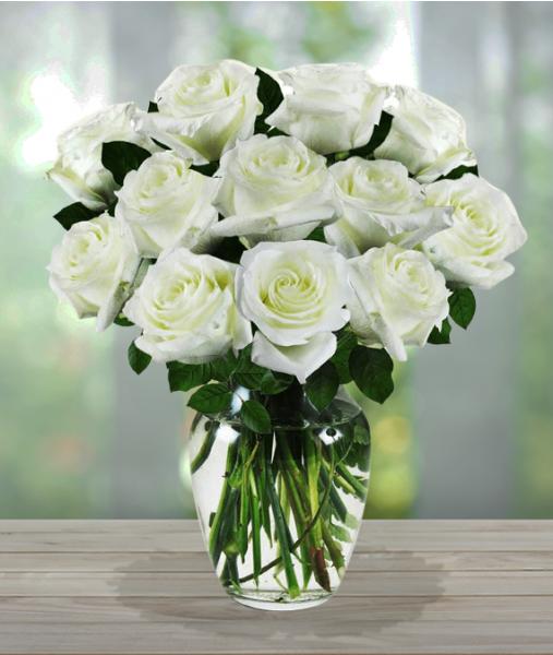 Flowers: White Rose Sympathy Bouquet - One Dozen