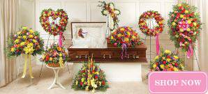 Sympathy Collections - Colorful Collection
